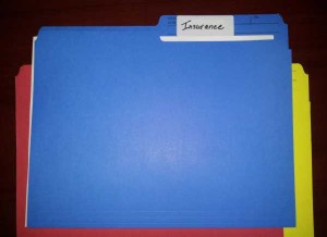 Blue insurance folder