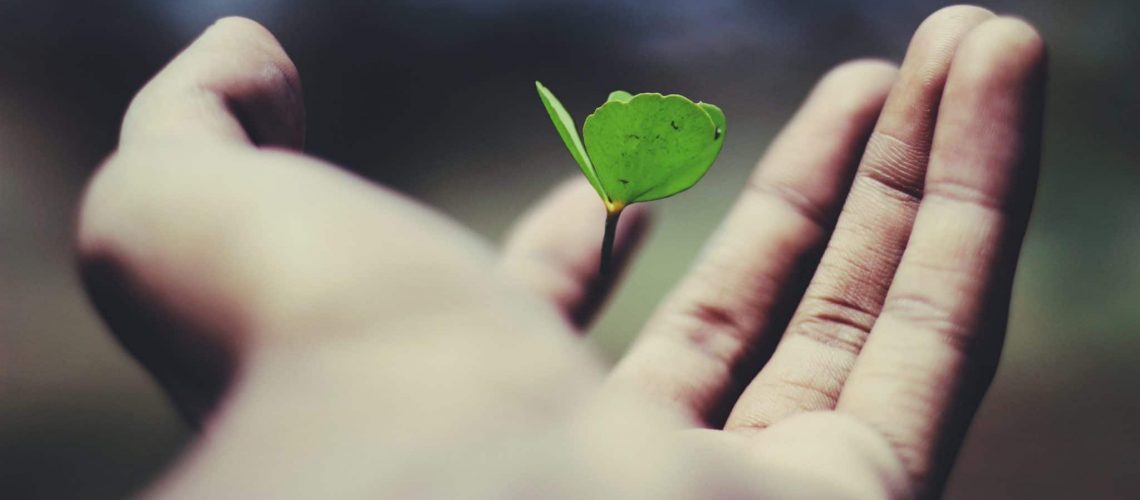 growth ravi-roshan-_AdUs32i0jc-unsplash